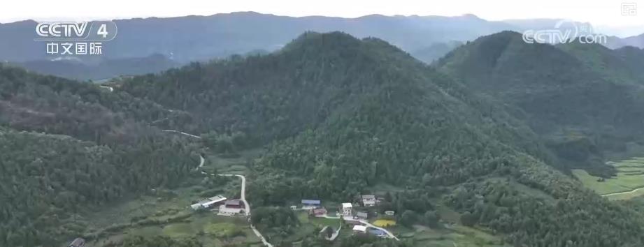 绿水青山释放经济红利 生态保护与产业发展双赢