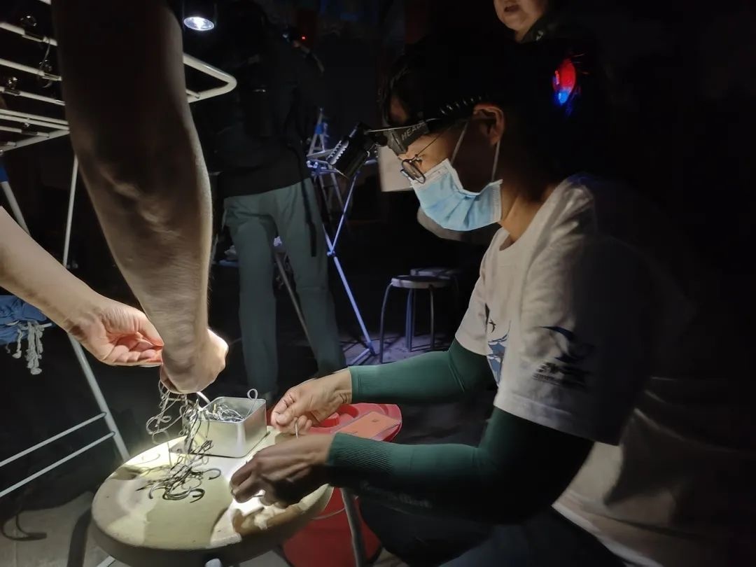 北京中轴线上的雨燕，真的永远不能落地吗？