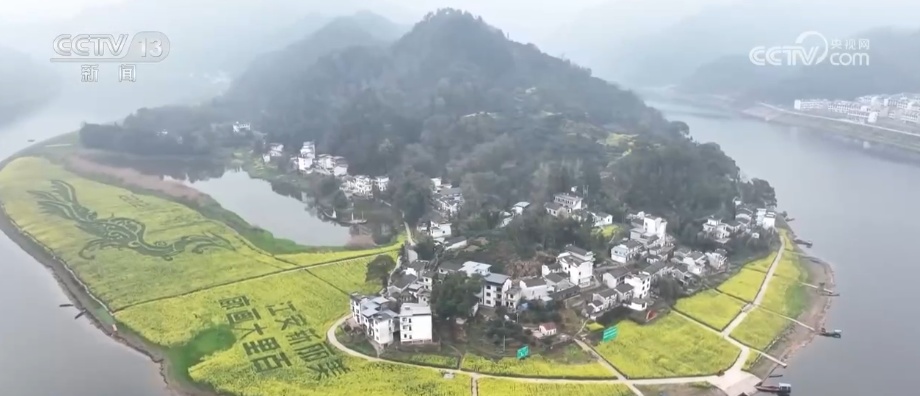 “绿色红利”富了百姓！“两山”理念“绿色密码”让茶园更绿、茶农日子更甜