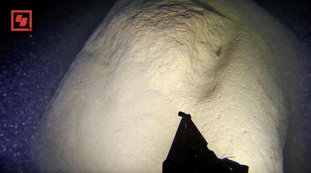 新纪录！新疆喀纳斯湖118.5米深处发现杜父鱼！