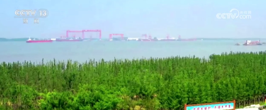 科技加持织密水、陆、空立体式监测网 “把脉问诊”母亲河确保“黄金水道”绿色通行