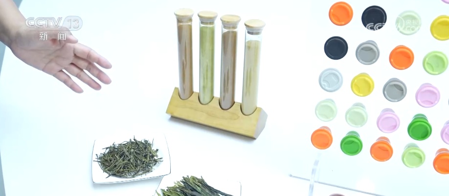 “绿色红利”富了百姓！“两山”理念“绿色密码”让茶园更绿、茶农日子更甜