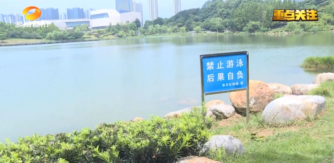 长沙一男子清晨公园野泳意外溺亡,悲剧再敲安全警钟! 长沙一男子清晨公园野泳意外溺亡,悲剧再敲安全警钟!