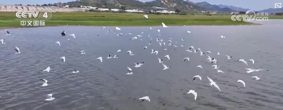 绿水青山释放经济红利 生态保护与产业发展双赢