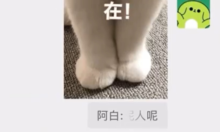 微信聊天又有新功能!已有人用上了,网友:爱了爱了 微信聊天又有新功能!已有人用上了,网友:爱了爱了