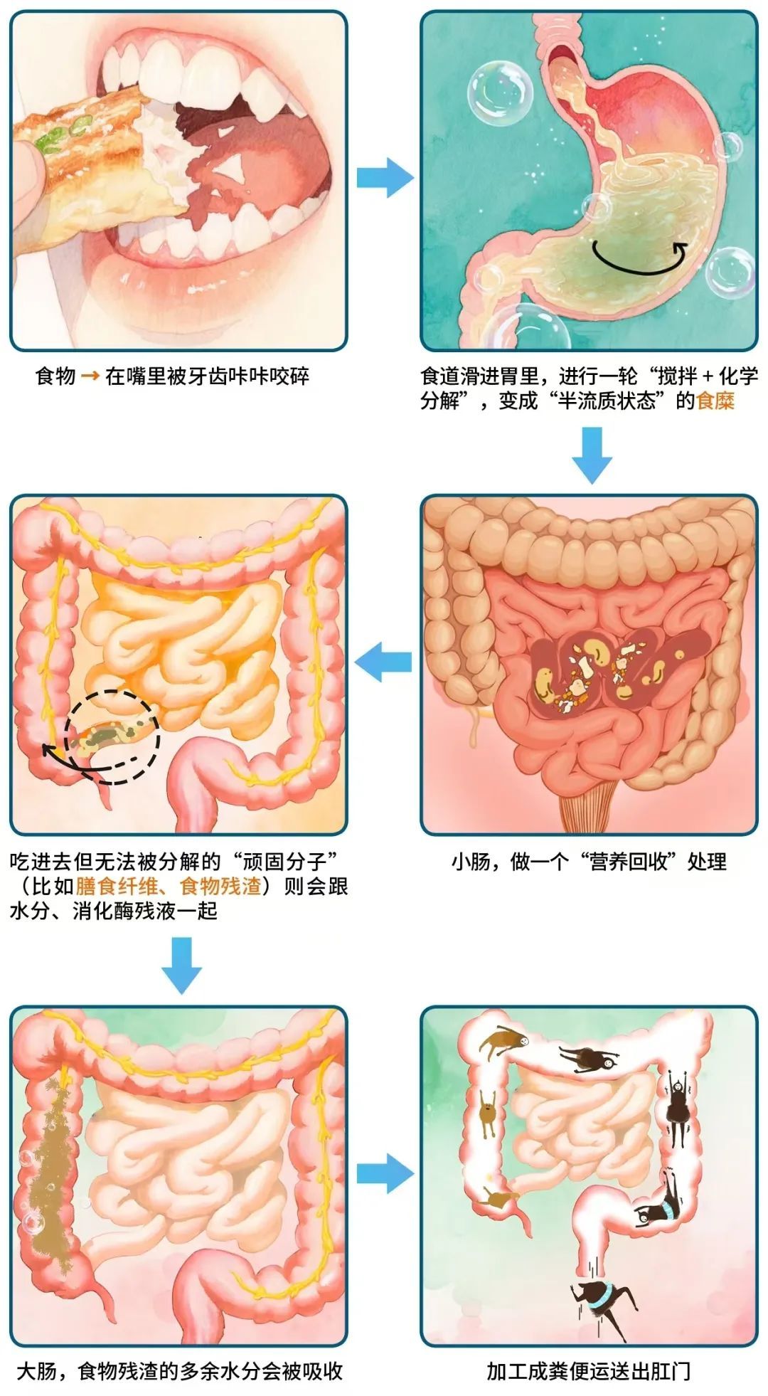 便便为啥“前硬后软”?90%的人不知道! 便便为啥“前硬后软”?90%的人不知道!