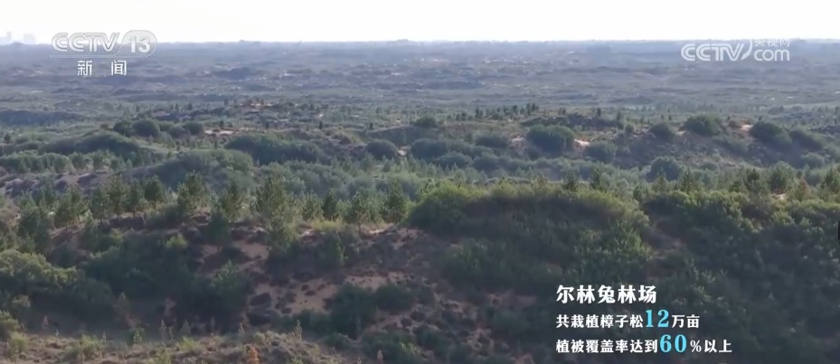 科技“啃出”绿色奇迹！卫星视角“瞰变化” 探秘从黄沙漫天到绿意蔓延的蜕变