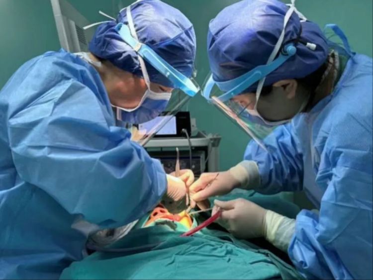 男子鼻塞流涕总不好，竟因牙齿“长”进鼻子里