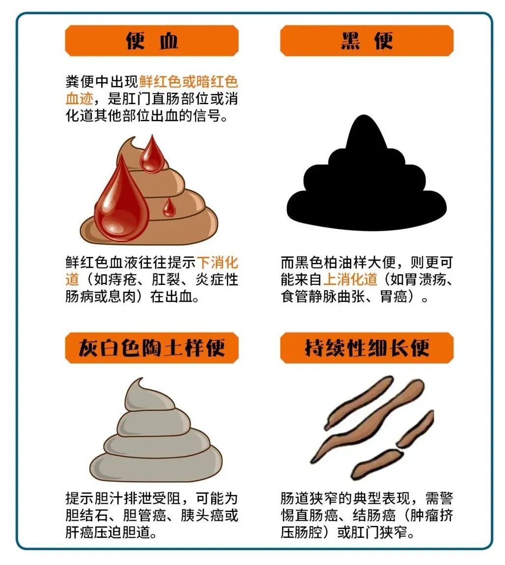 便便为啥“前硬后软”?90%的人不知道! 便便为啥“前硬后软”?90%的人不知道!