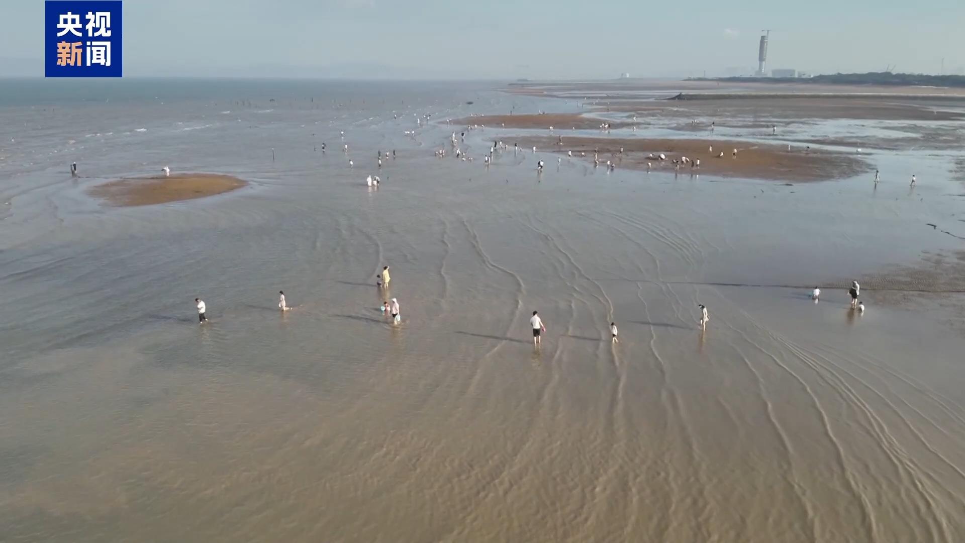 为追跳跳鱼，一男子被“封印”在海滩上 赶海时，这些事项要注意
