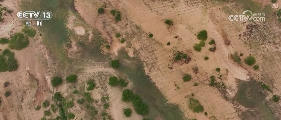 科技“啃出”绿色奇迹！卫星视角“瞰变化” 探秘从黄沙漫天到绿意蔓延的蜕变