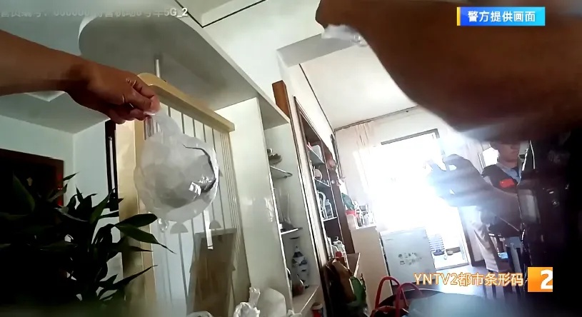 吓人！网购的绿植竟然“附赠”10条活蛇……