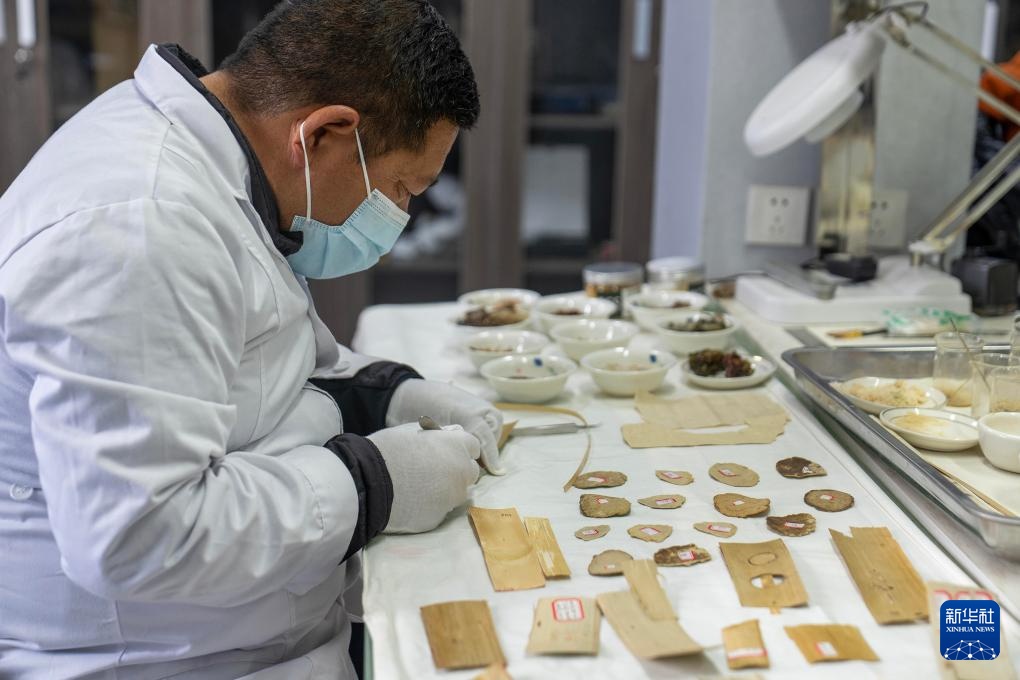 西藏：科技为古籍保护注入新活力