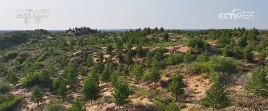 科技“啃出”绿色奇迹！卫星视角“瞰变化” 探秘从黄沙漫天到绿意蔓延的蜕变