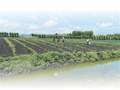 人民日报记者深入三省七县脱贫村调研:脱贫产业兴,日子有奔头 人民日报记者深入三省七县脱贫村调研:脱贫产业兴,日子有奔头