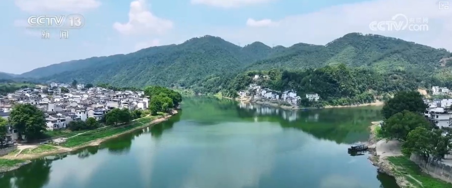 “绿色红利”富了百姓！“两山”理念“绿色密码”让茶园更绿、茶农日子更甜