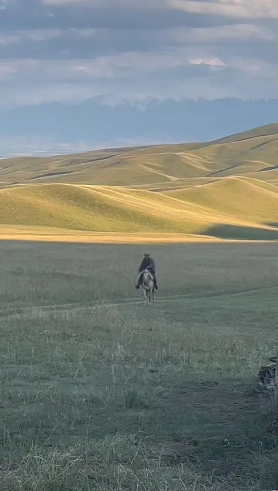 新疆男子在外工作偶然回家,父亲骑马飞奔迎接,感人一幕被拍下:爸爸快马加鞭从羊群赶回来 新疆男子在外工作偶然回家,父亲骑马飞奔迎接,感人一幕被拍下:爸爸快马加鞭从羊群赶回来