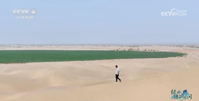 光伏锁沙、苜蓿生金:中国沙漠开挂新操作 光伏锁沙、苜蓿生金:中国沙漠开挂新操作