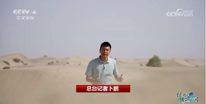 光伏锁沙、苜蓿生金:中国沙漠开挂新操作 光伏锁沙、苜蓿生金:中国沙漠开挂新操作