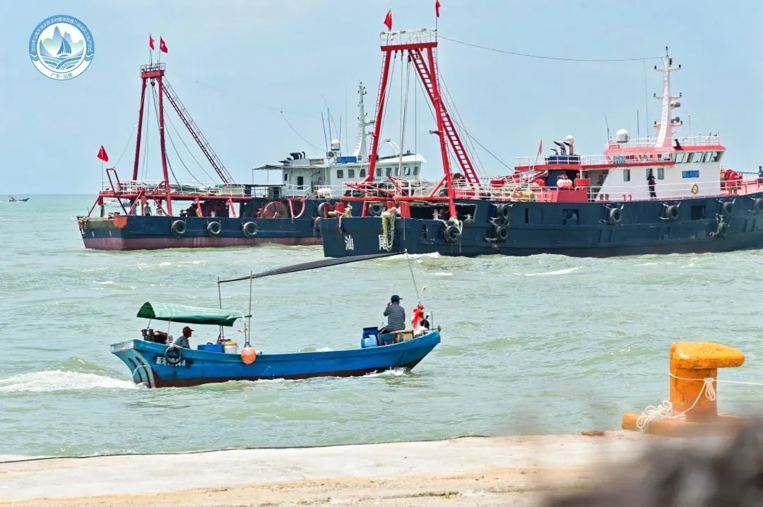 广东人一年最期待的味道来了！网友：起码准备5T的胃