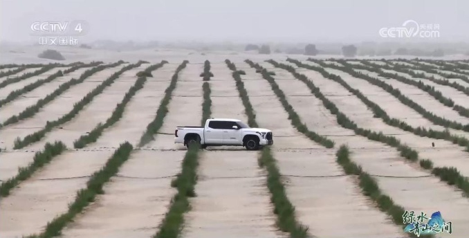 光伏锁沙、苜蓿生金:中国沙漠开挂新操作 光伏锁沙、苜蓿生金:中国沙漠开挂新操作