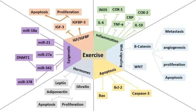 证据来了！这种习惯真的能抗癌，建议码住