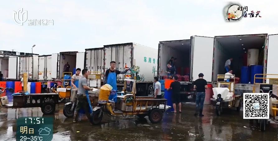 价格腰斩! 上海这里日售10万斤! 许多人喜欢,预计还会再跌