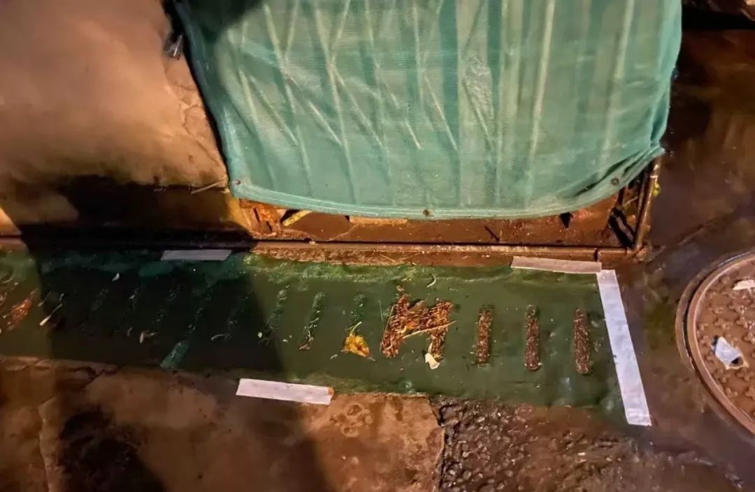 暴雨！今起3天河南多地雨雨雨，暴雨能砸死蚊子吗？河南多地已展开消杀