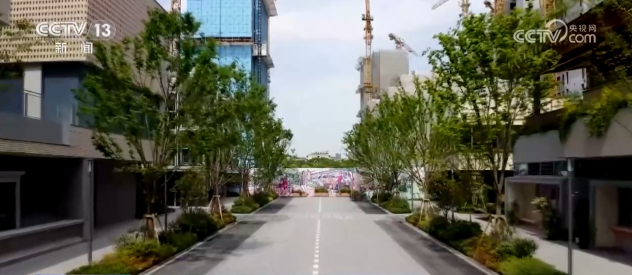 降碳、减污、扩绿……重磅数据出炉！多角度透视碳达峰碳中和重要成果