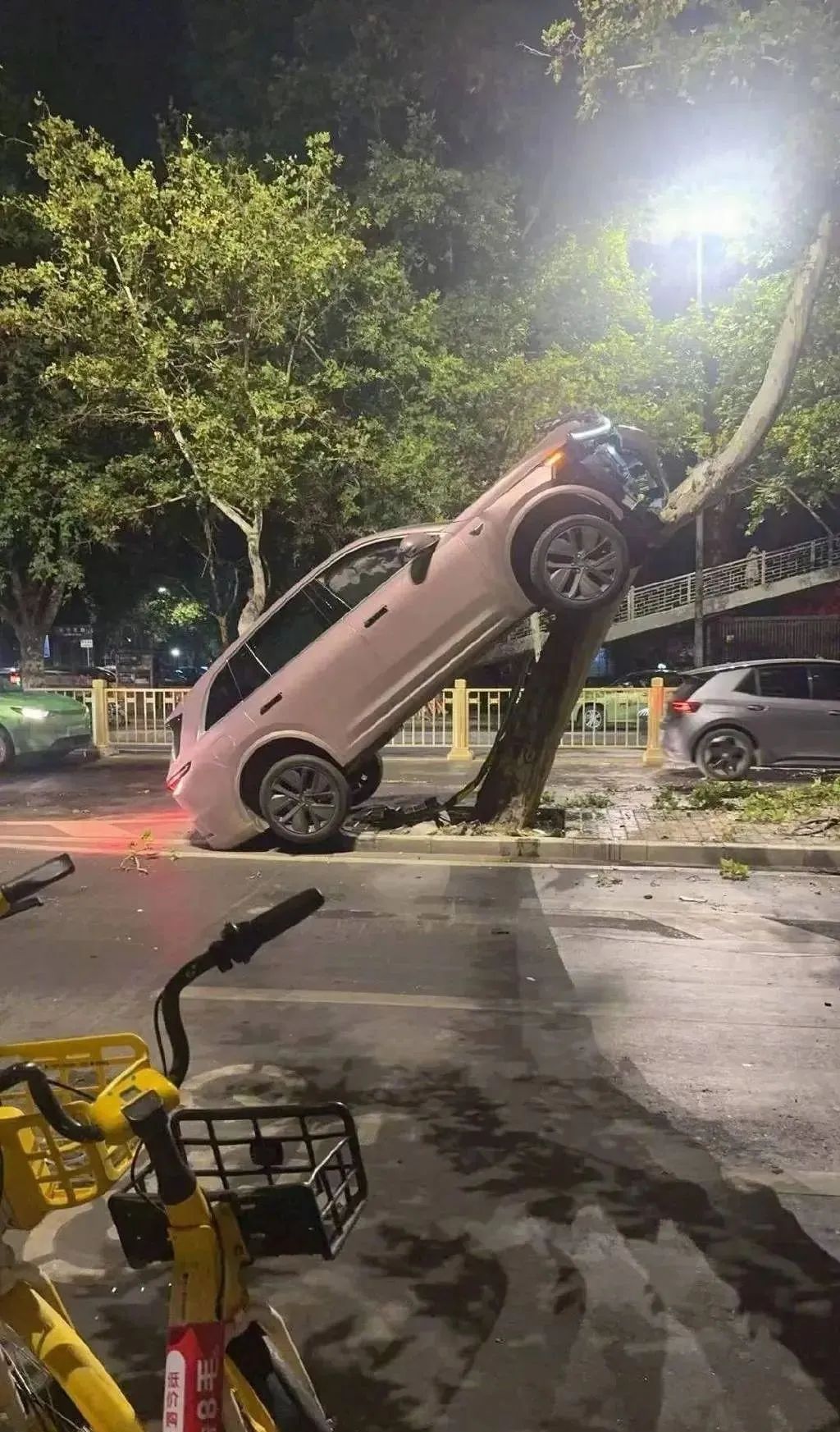 警方通报“女子把车开到树上”：因操作不当车辆发生碰撞