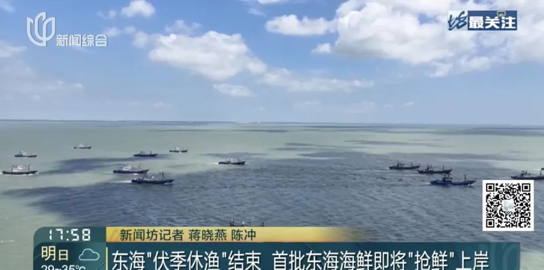 价格腰斩! 上海这里日售10万斤! 许多人喜欢,预计还会再跌