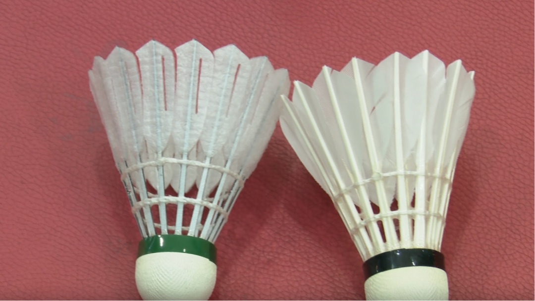 “杀伤力”惊人！有人手一抓全是血窟窿、有人脸上被扎伤，很多人喜爱这项活动