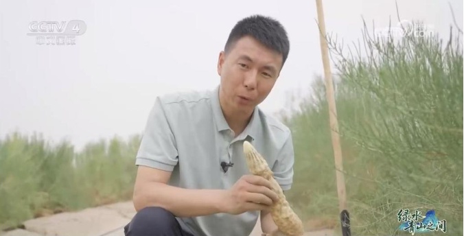 光伏锁沙、苜蓿生金:中国沙漠开挂新操作 光伏锁沙、苜蓿生金:中国沙漠开挂新操作