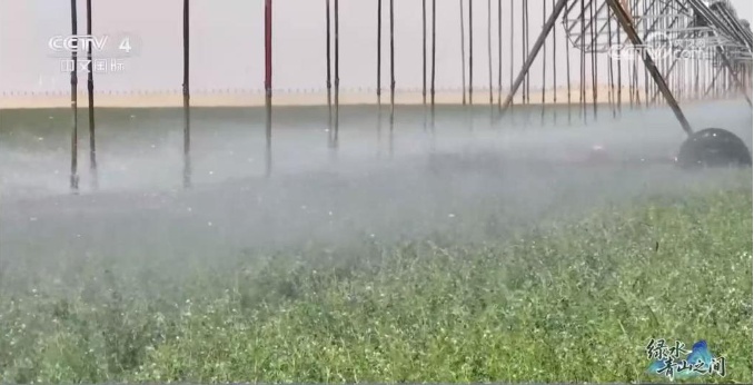 光伏锁沙、苜蓿生金:中国沙漠开挂新操作 光伏锁沙、苜蓿生金:中国沙漠开挂新操作