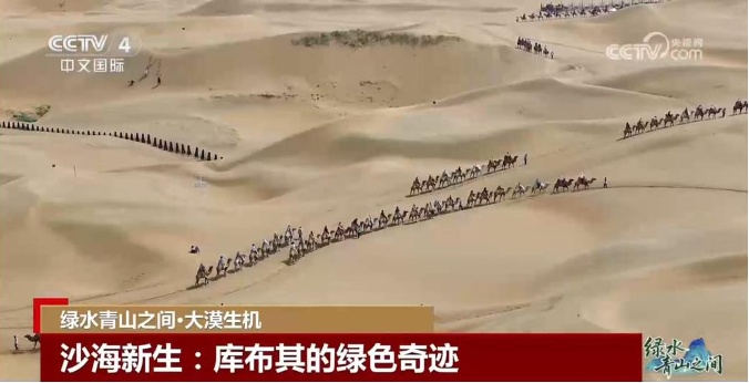 光伏锁沙、苜蓿生金:中国沙漠开挂新操作 光伏锁沙、苜蓿生金:中国沙漠开挂新操作