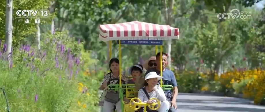 降碳、减污、扩绿……重磅数据出炉！多角度透视碳达峰碳中和重要成果