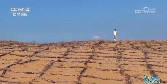 光伏锁沙、苜蓿生金:中国沙漠开挂新操作 光伏锁沙、苜蓿生金:中国沙漠开挂新操作