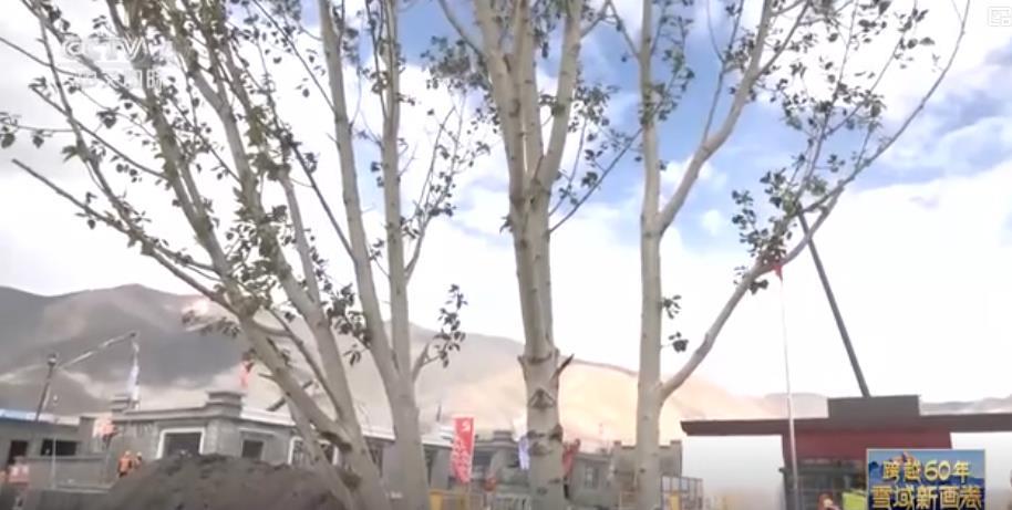 日喀则市定日县森嘎村：地震后重建 废墟里重生