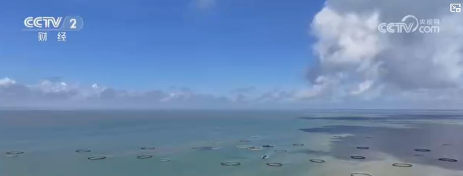 南海开渔丨广东：从种业到装备 打造现代化海洋牧场全产业链