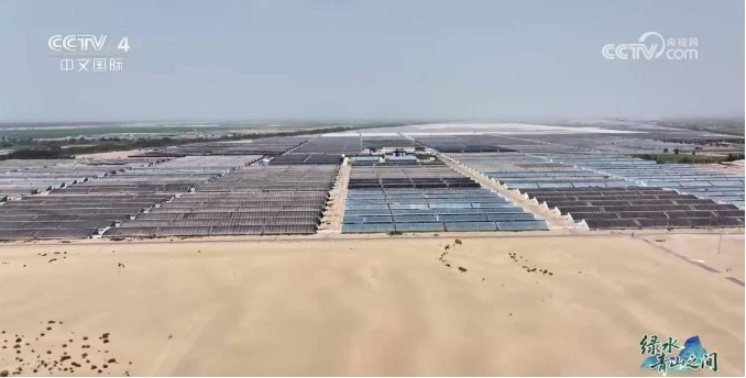 光伏锁沙、苜蓿生金:中国沙漠开挂新操作 光伏锁沙、苜蓿生金:中国沙漠开挂新操作