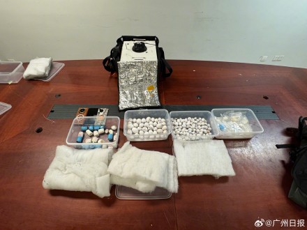 男子把珍稀鸟蛋伪装成卤蛋走私进境