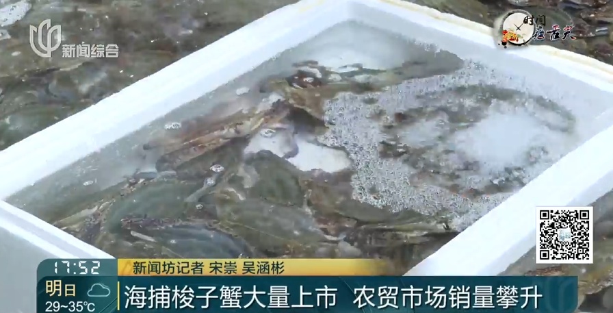 价格腰斩! 上海这里日售10万斤! 许多人喜欢,预计还会再跌