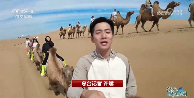 光伏锁沙、苜蓿生金:中国沙漠开挂新操作 光伏锁沙、苜蓿生金:中国沙漠开挂新操作