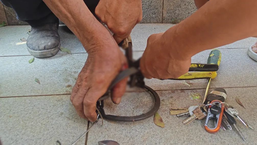 垃圾桶里的TA张开大嘴，死死“咬”住大爷右手……