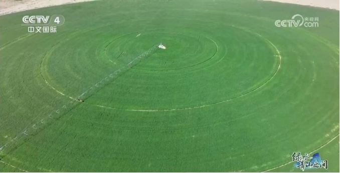 光伏锁沙、苜蓿生金:中国沙漠开挂新操作 光伏锁沙、苜蓿生金:中国沙漠开挂新操作