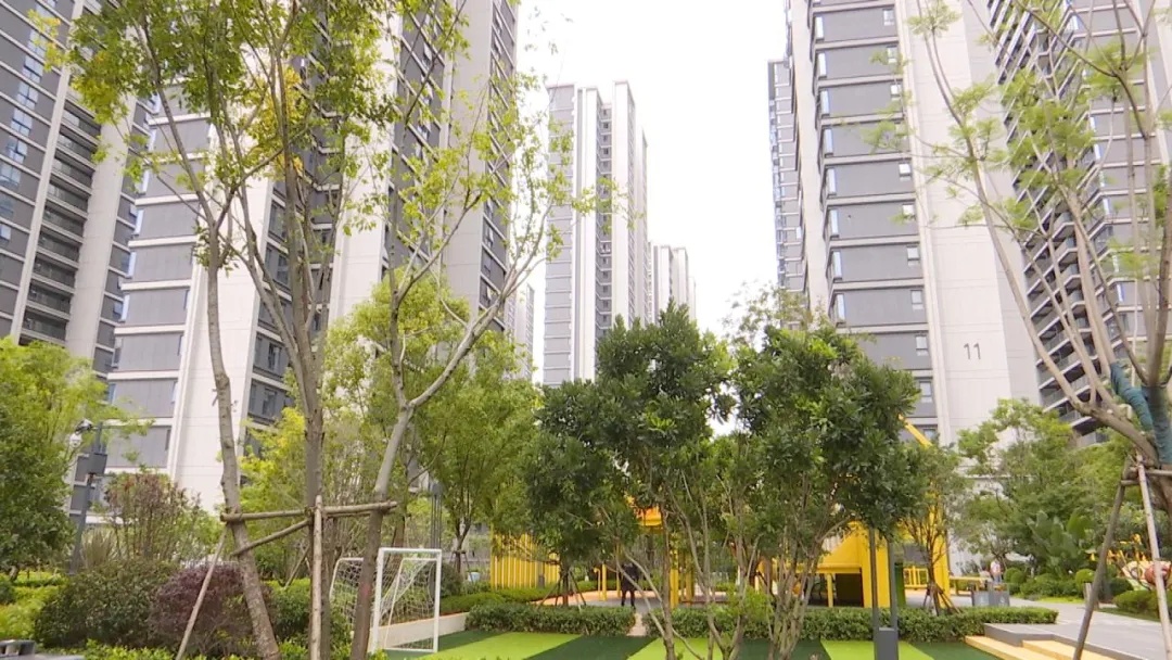 “随手一抛” 涉违法！从31 楼扔外卖垃圾，法律后果有多严重？