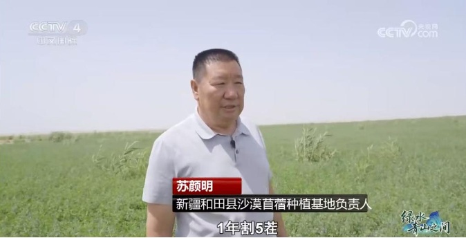 光伏锁沙、苜蓿生金:中国沙漠开挂新操作 光伏锁沙、苜蓿生金:中国沙漠开挂新操作