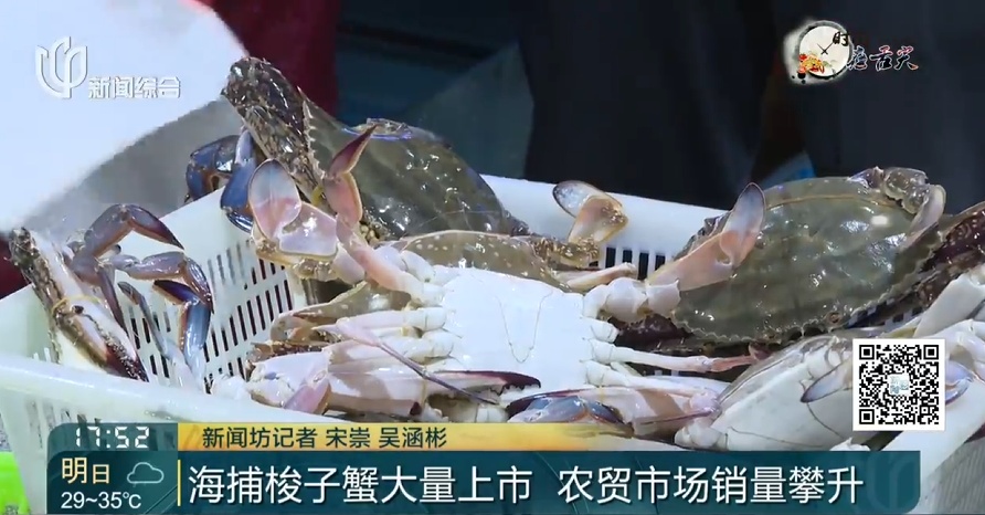 价格腰斩! 上海这里日售10万斤! 许多人喜欢,预计还会再跌