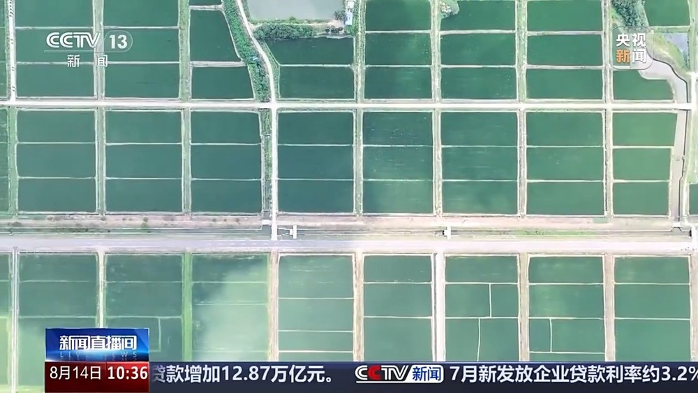 大模型、无人机成田间地头新帮手 秋粮生产保障“升级”中