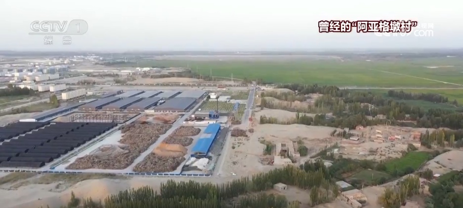 沙漠里养海鲜、种水稻？科技助力新疆“点沙成金”变身鱼米之乡